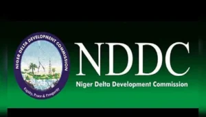 NDDC Begins Reconstruction of 15.4km Benin-Sapele Road After Tinubu’s Directive