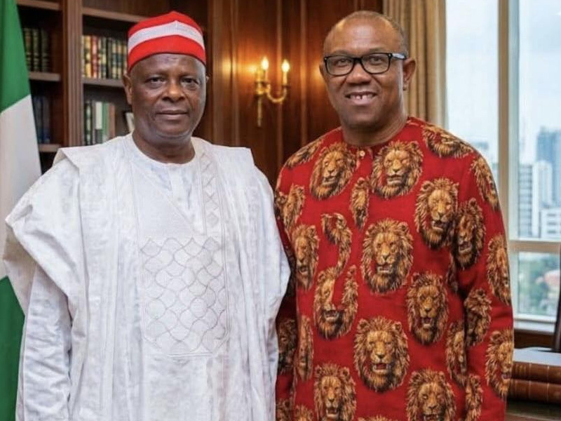 Rabiu Kwankwaso says he chose to be Peter Obi running mate because of national interest instead of personal ambition