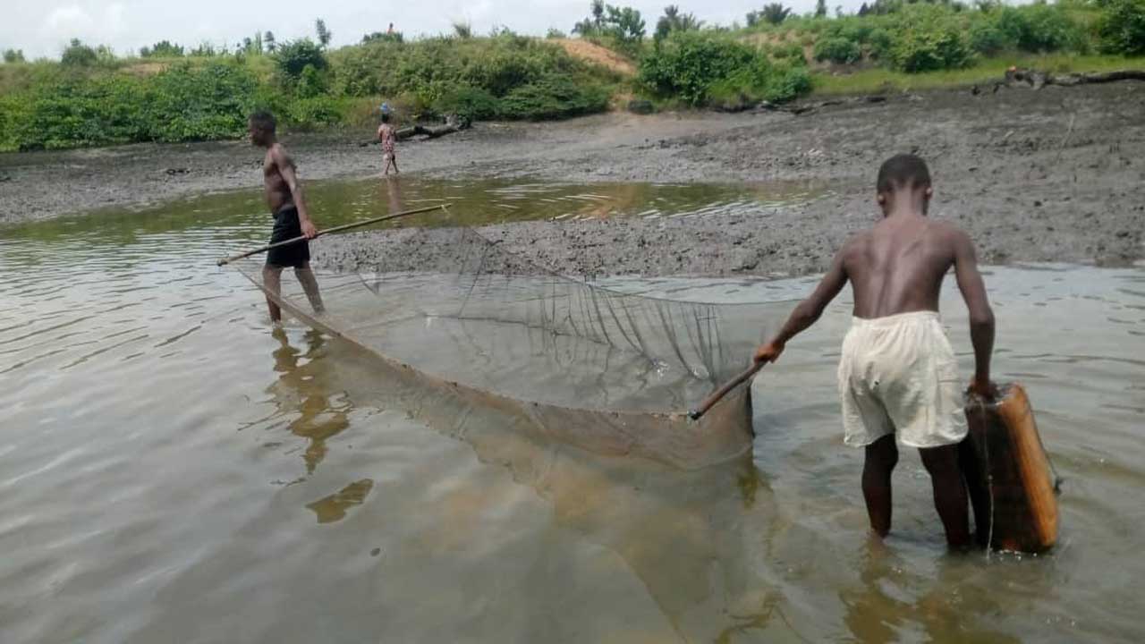 Ogoni Youths Demand 500 NNPC Jobs Ahead of Planned Oil Resumption