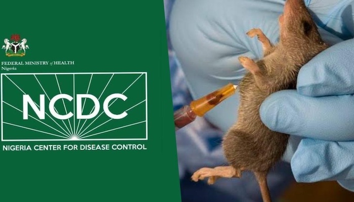 Lassa Fever Death Toll Hits 237 in Nigeria as Cases Reach 1,000