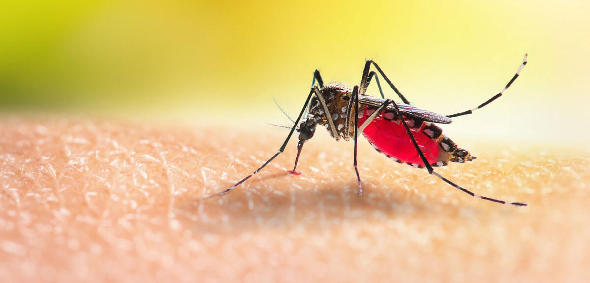 Malaria and typhoid are putting rural communities under pressure—and many people are suffering without treatment.