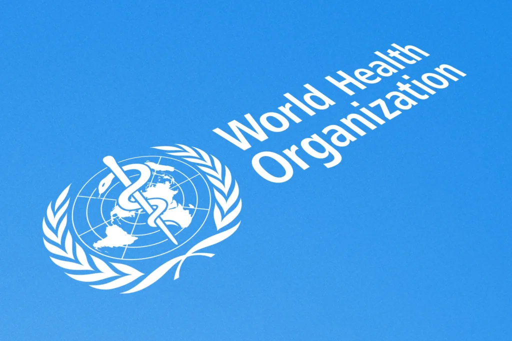 Nigeria Must Not Mistake Fortified Seasoning Cubes for a Maternal Health Solution