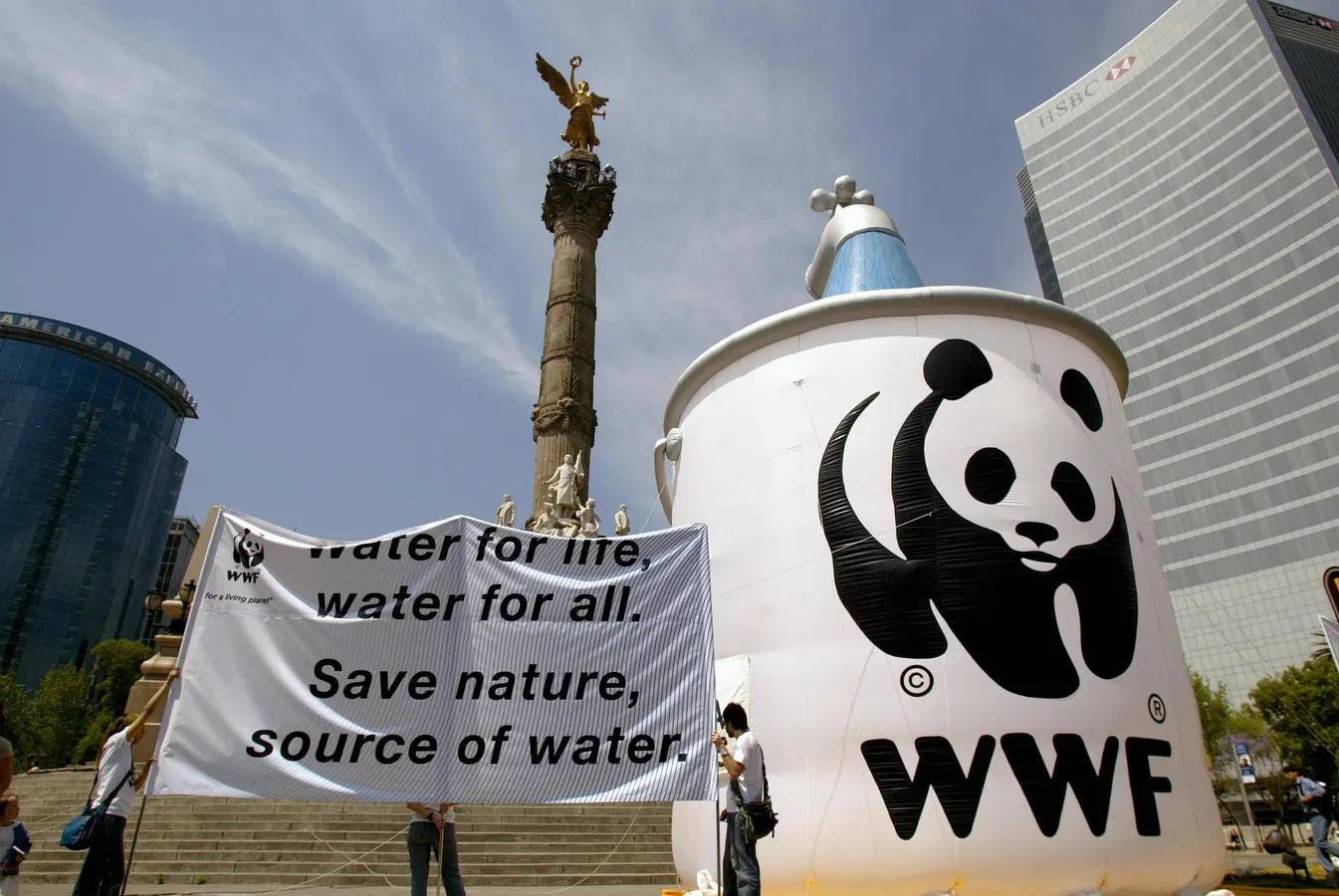 MTN, WWF, UNDP and Deloitte Launch 2026 Nigeria PachiPanda Challenge