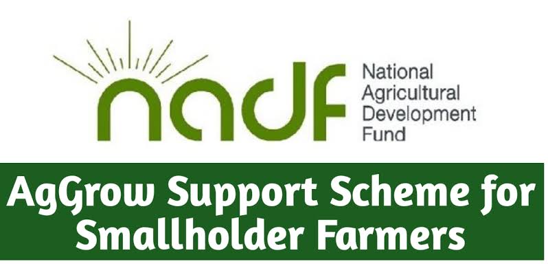 NADF Calls for Stronger Institutions to Unlock Agricultural Investment in Africa