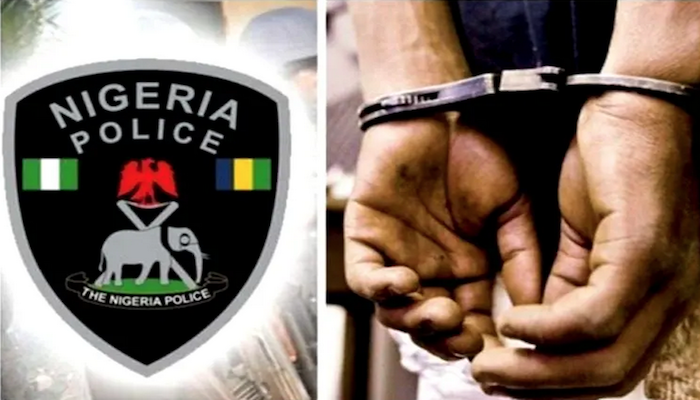 Police Arrest Man Over Alleged Diversion of 1,500 RUTF Sachets in Katsina