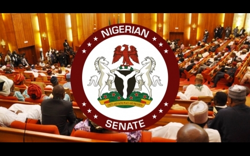 Senate Promises Constitution Review Won’t Stall Ahead of 2027 Elections